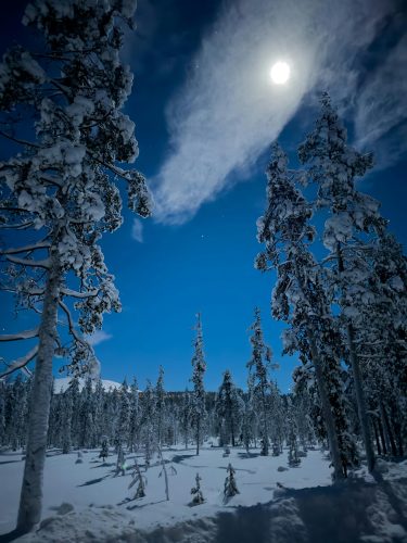 pexels-crossrunner32-20519069