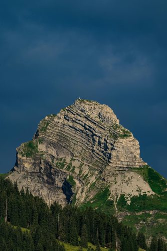 pexels-crossrunner32-32894561