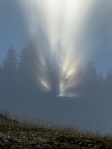 pexels-crossrunner32-34341695