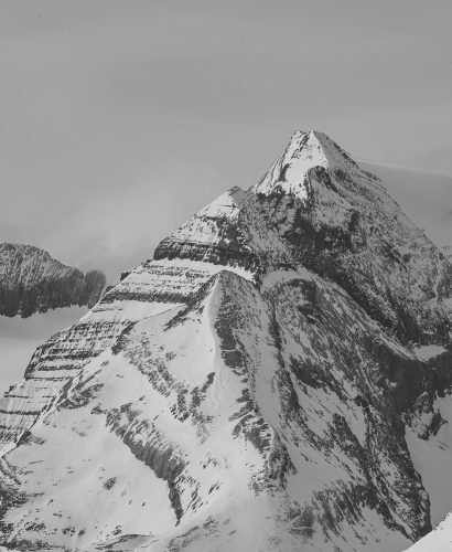 pexels-crossrunner32-35347238