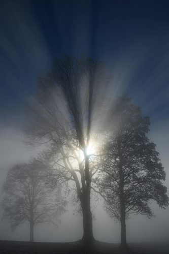 pexels-crossrunner32-35403545 (1)